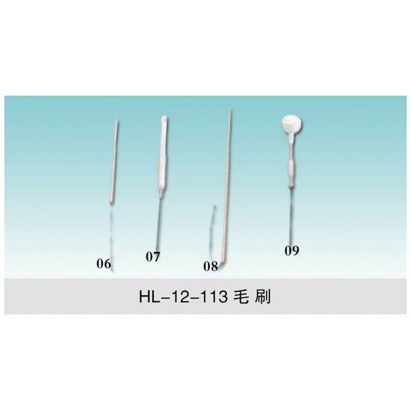 HL-12-113 實驗室專用毛刷
